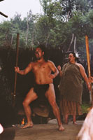 Maori Show in Mitai